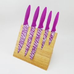 Plastic Handle Kitchen Knife Set