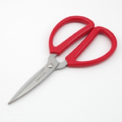 Tailor Scissors